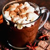 Hot Chocolate 8oz Cup